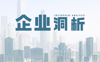 2024年中国药用辅料行业企业洞析报告