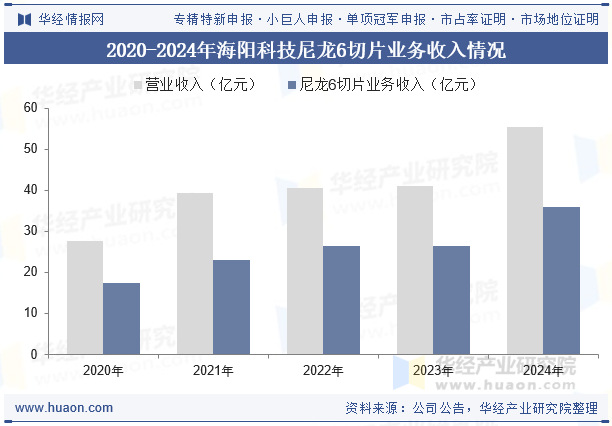 2020-2024年海阳科技尼龙6切片业务收入情况